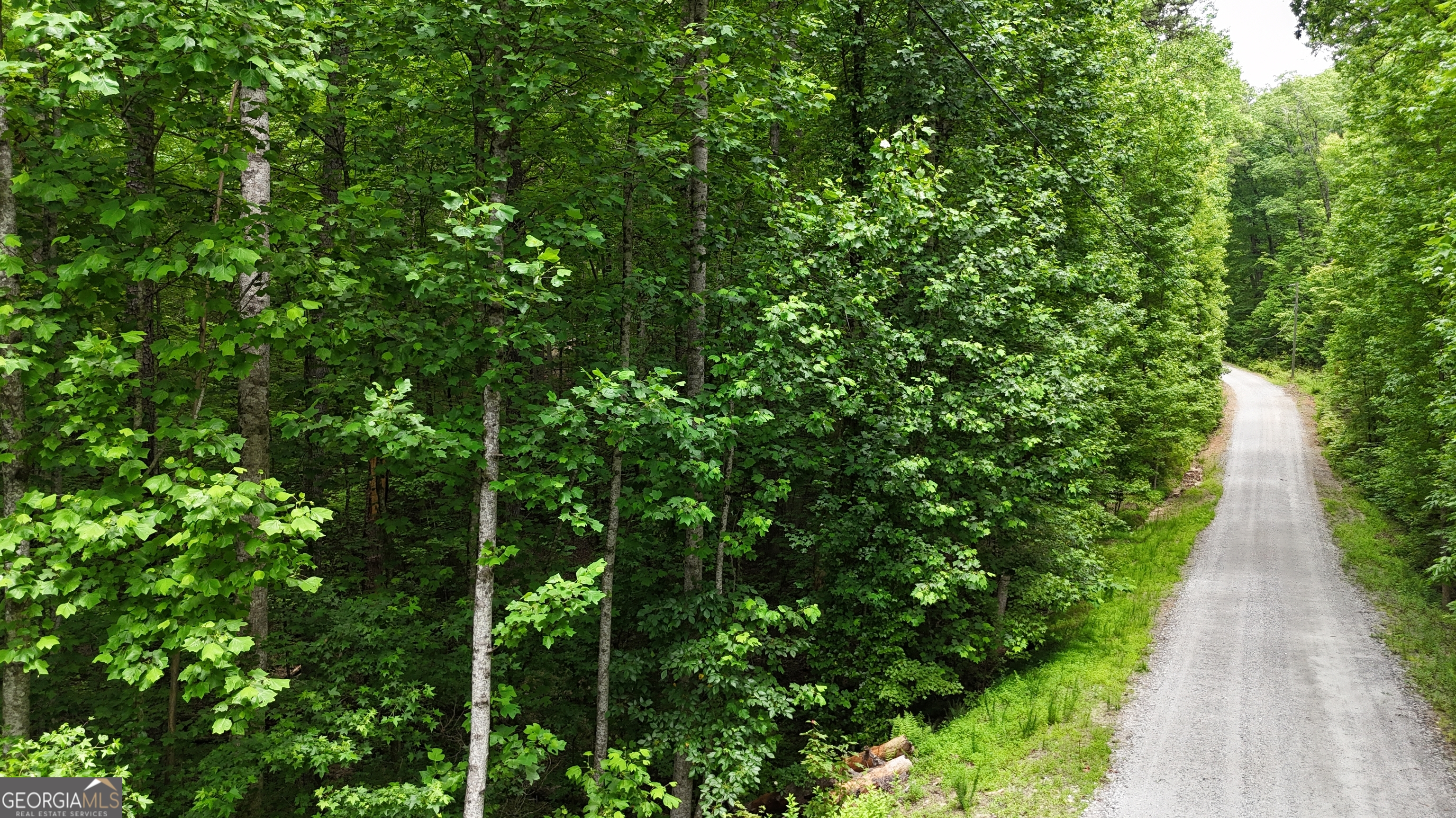 0 Sautee Ridge Road Clarkesville GA 30523