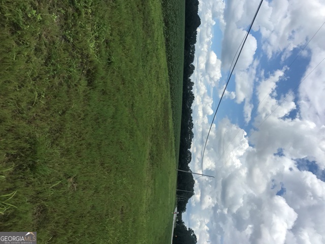 0 Us Highway 301 Claxton GA 30417
