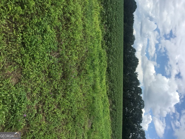 0 Us Highway 301 Claxton GA 30417
