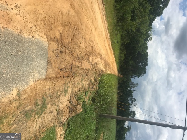 0 Us Highway 301 Claxton GA 30417
