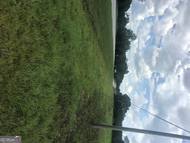 0 Us Highway 301 Claxton GA 30417