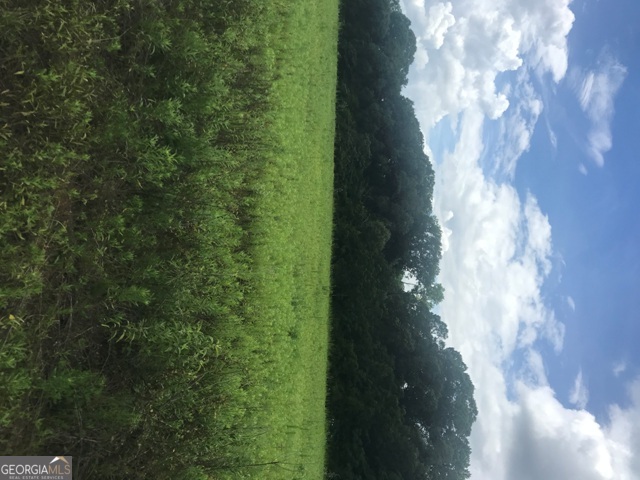 0 Us Highway 301 Claxton GA 30417