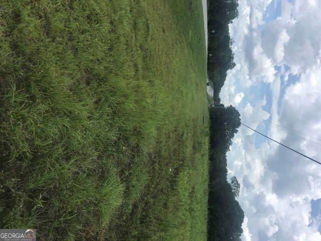 0 Us Highway 301 Claxton GA 30417