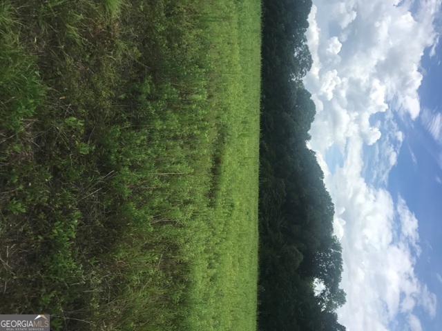 0 Us Highway 301 Claxton GA 30417