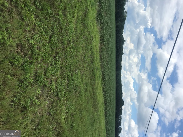 0 Us Highway 301 Claxton GA 30417