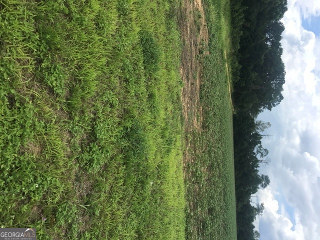 0 Us Highway 301 Claxton GA 30417