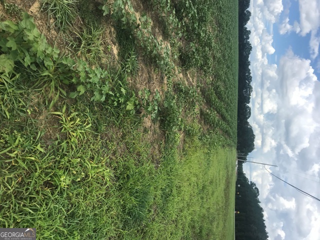 0 Us Highway 301 Claxton GA 30417