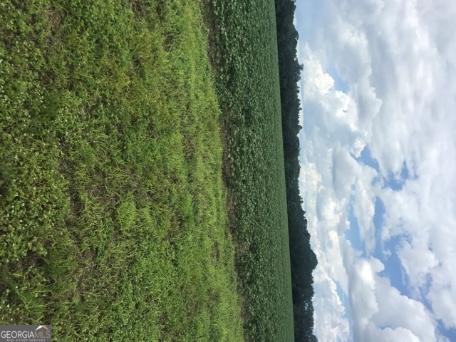 0 Us Highway 301 Claxton GA 30417