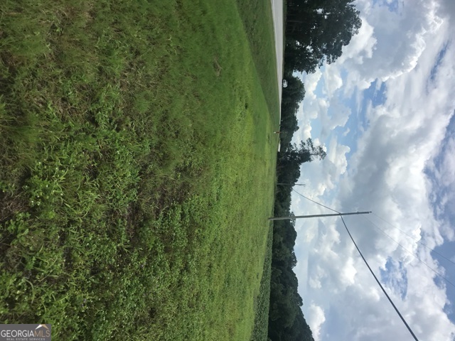 0 Us Highway 301 Claxton GA 30417