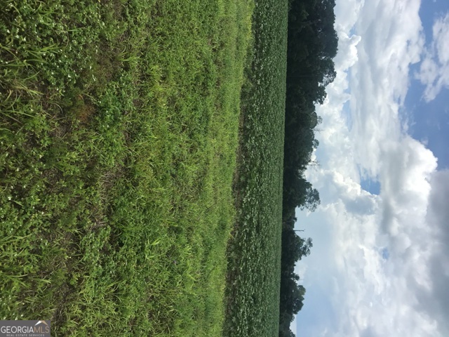 0 Us Highway 301 Claxton GA 30417