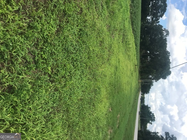 0 Us Highway 301 Claxton GA 30417