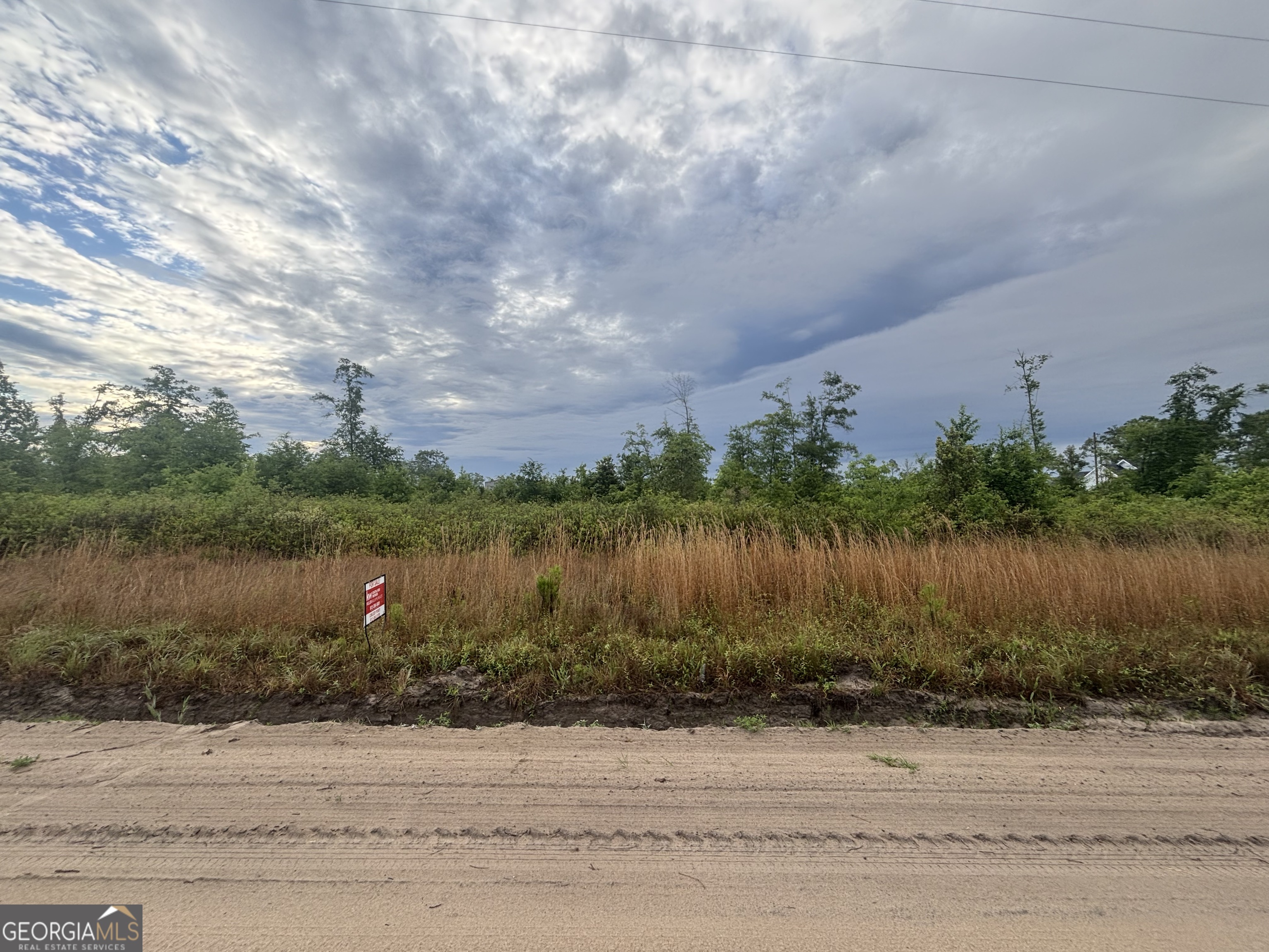 0 Riggs Lane Claxton GA 30417