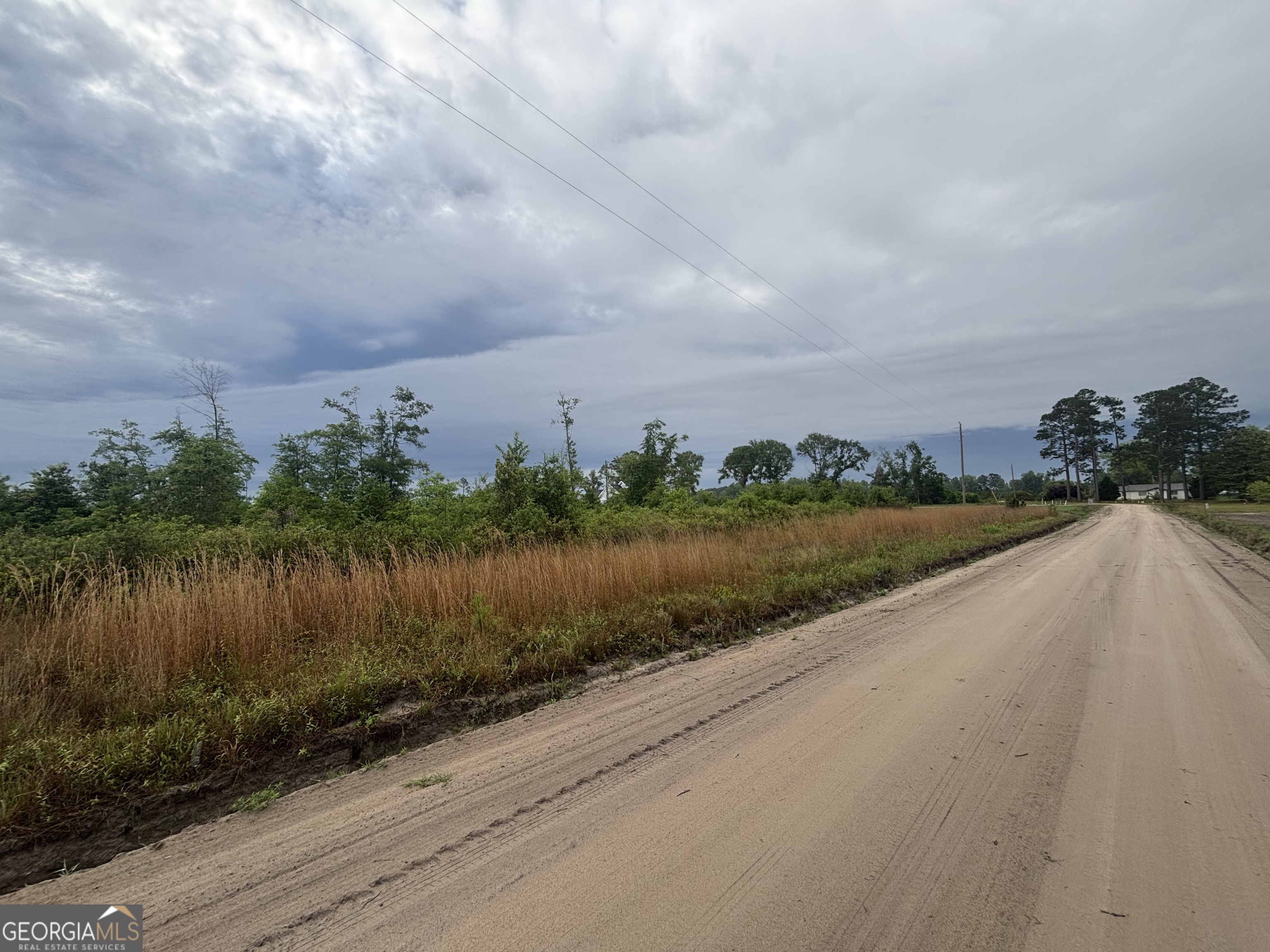 0 Riggs Lane Claxton GA 30417