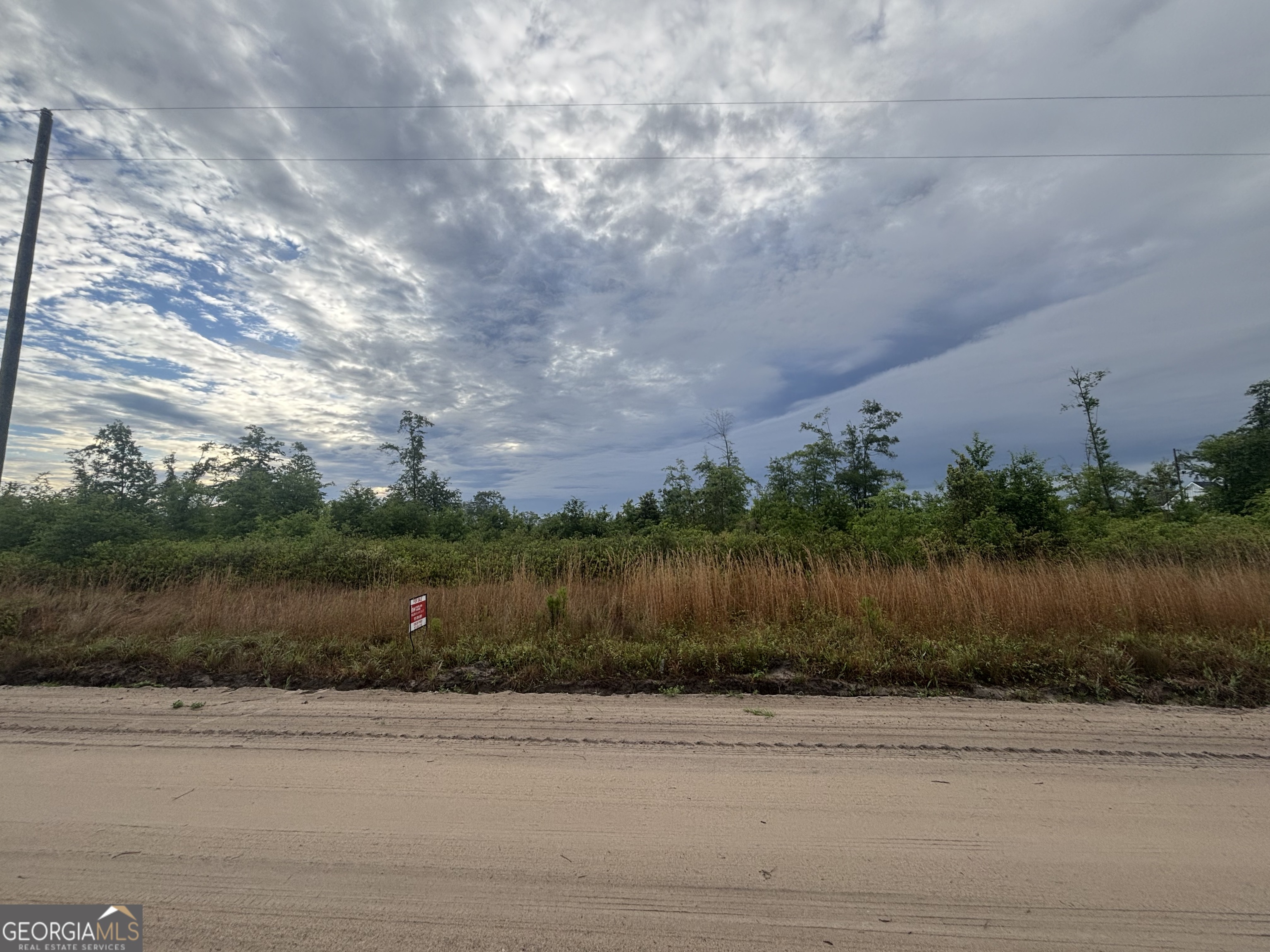 0 Riggs Lane Claxton GA 30417