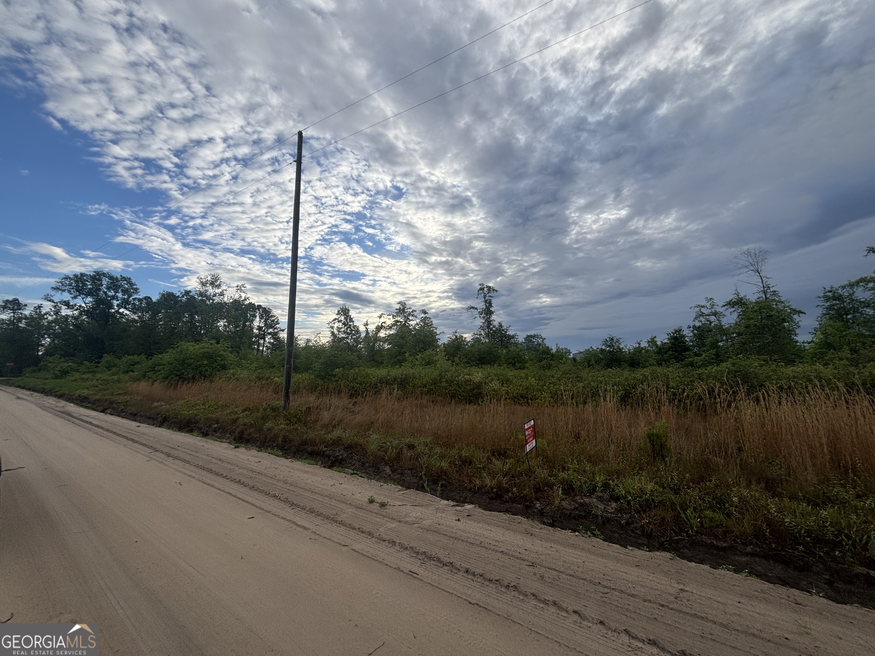 0 Riggs Lane Claxton GA 30417