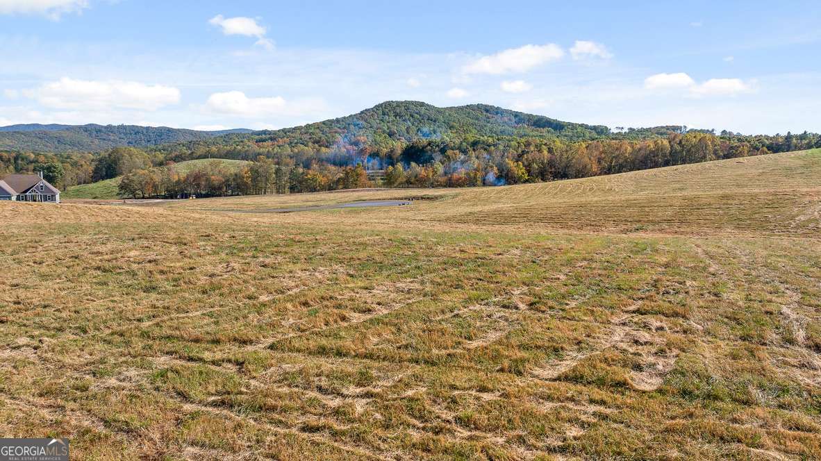 Lot 5 Bravo Way Talking Rock GA 30175
