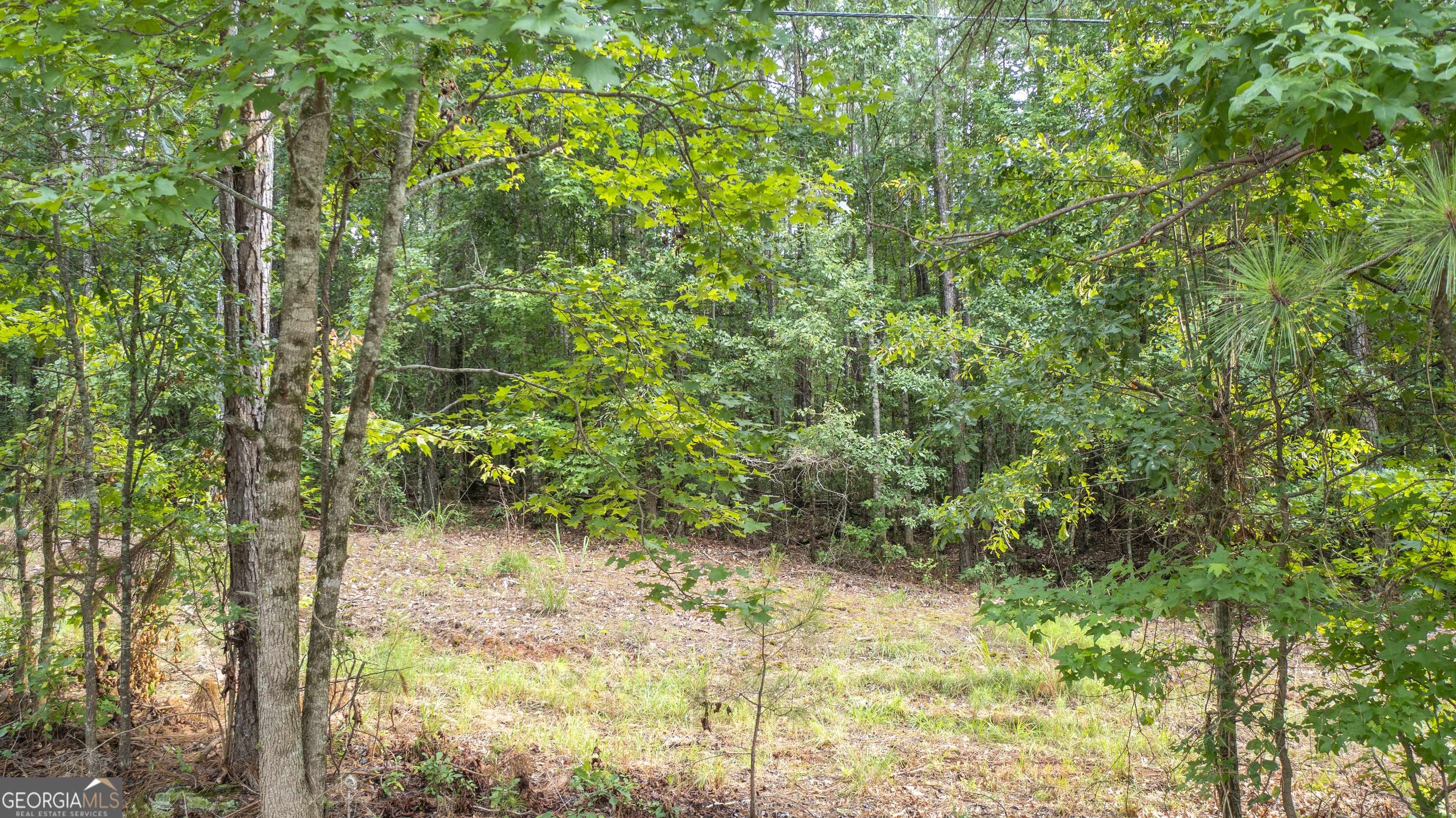 0 Durand Highway Warm Springs GA 31830
