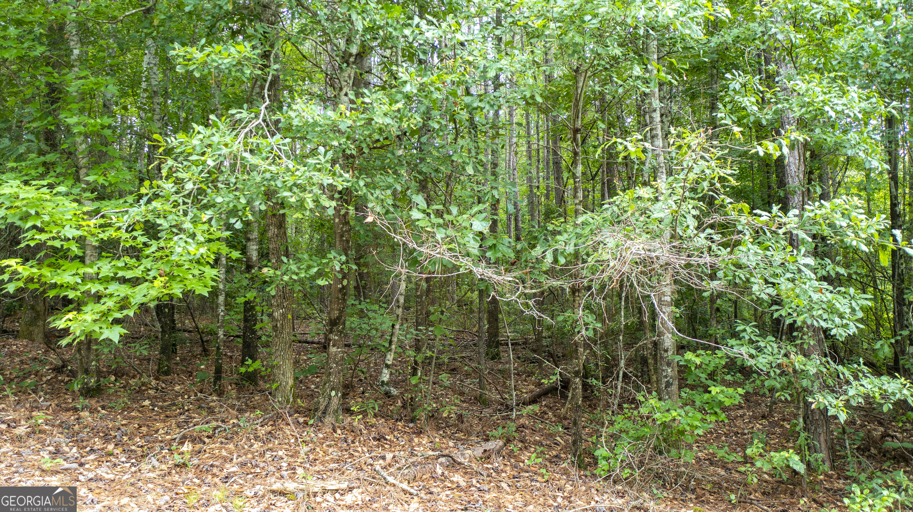0 Durand Highway Warm Springs GA 31830
