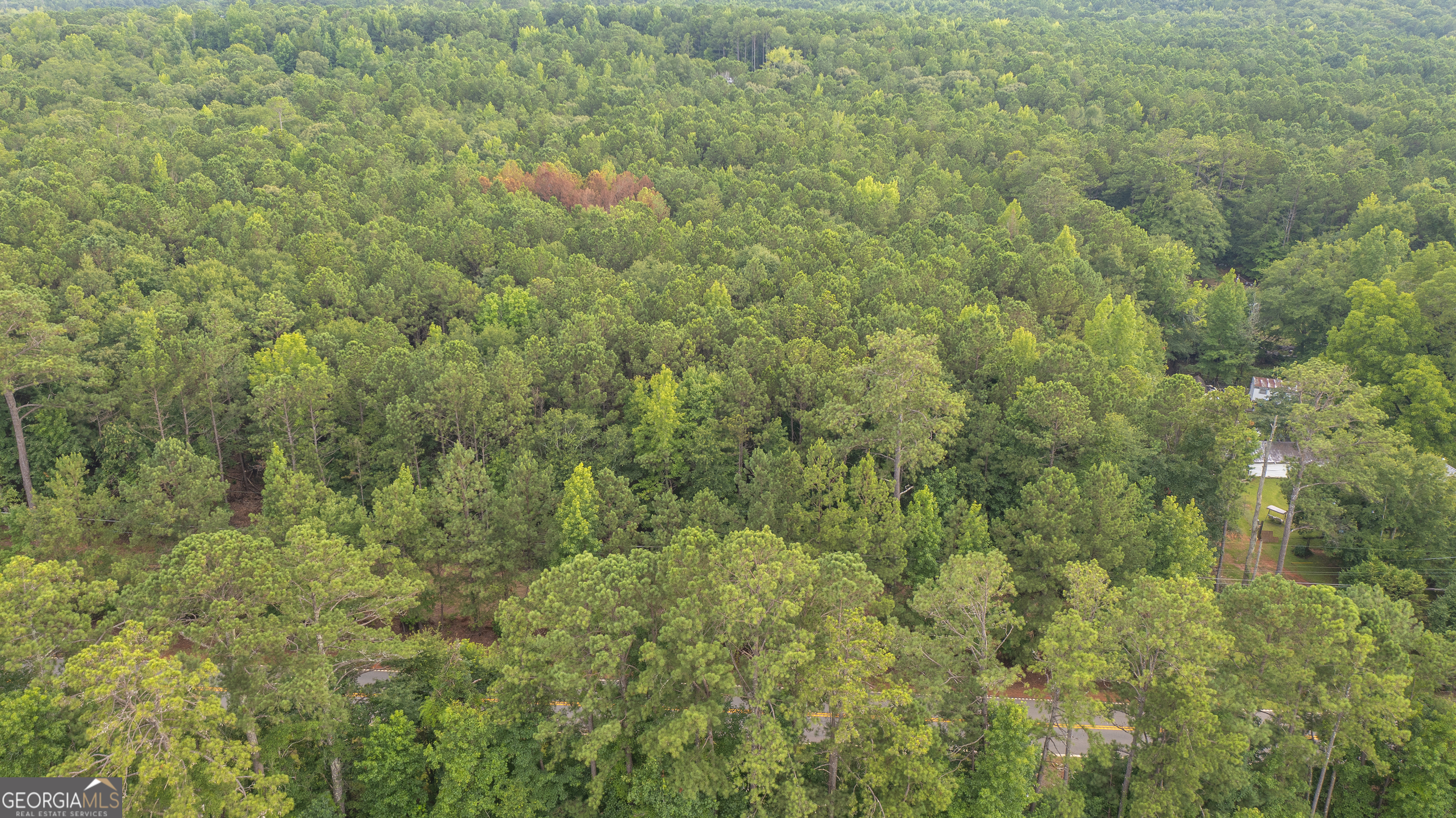 0 Durand Highway Warm Springs GA 31830