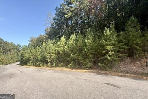 224 Rushing Water Drive Blairsville GA 30512