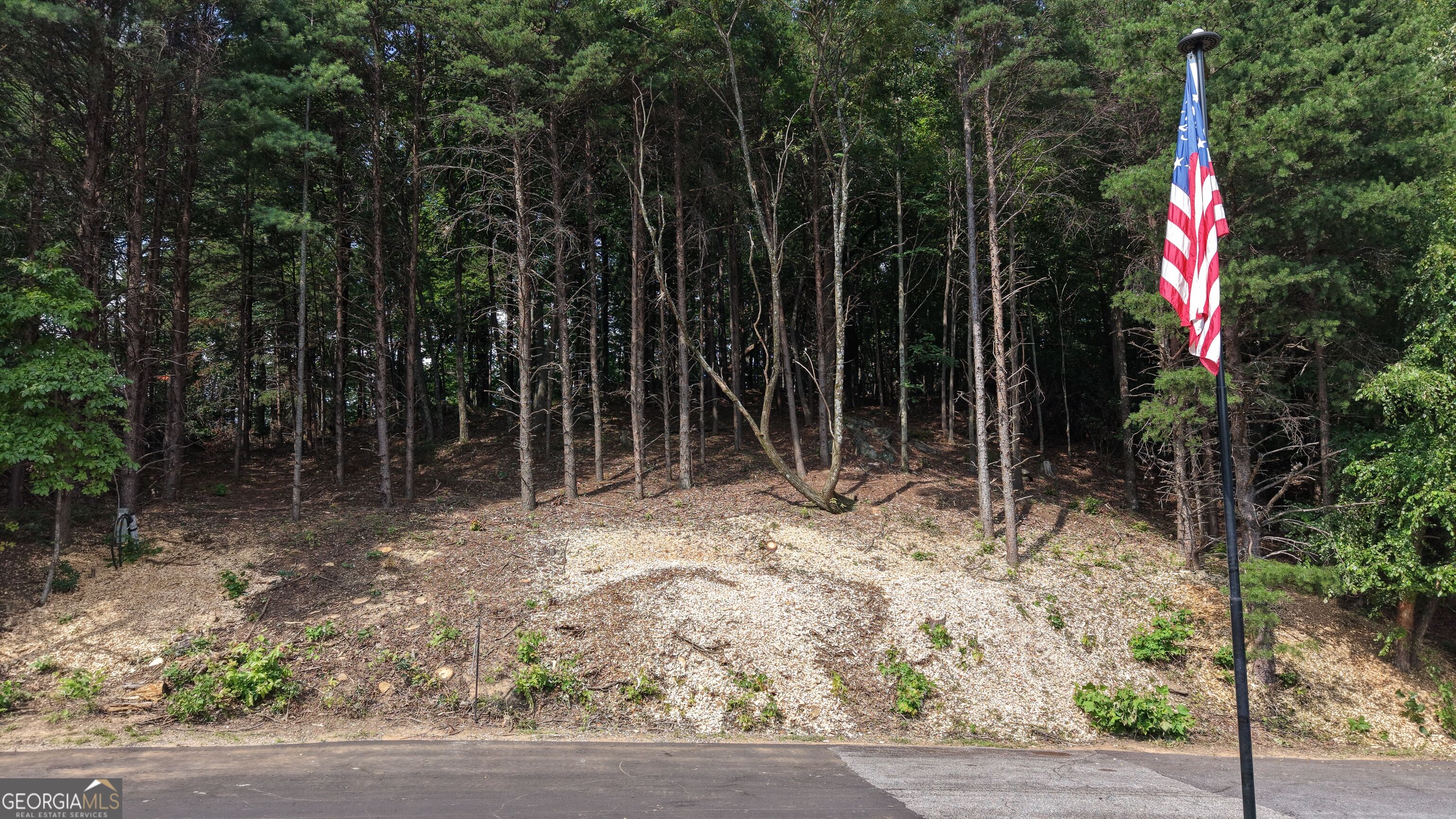 Lot B19 Starlight Drive Sautee Nacoochee GA 30571
