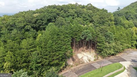 Lot B19 Starlight Drive Sautee Nacoochee GA 30571