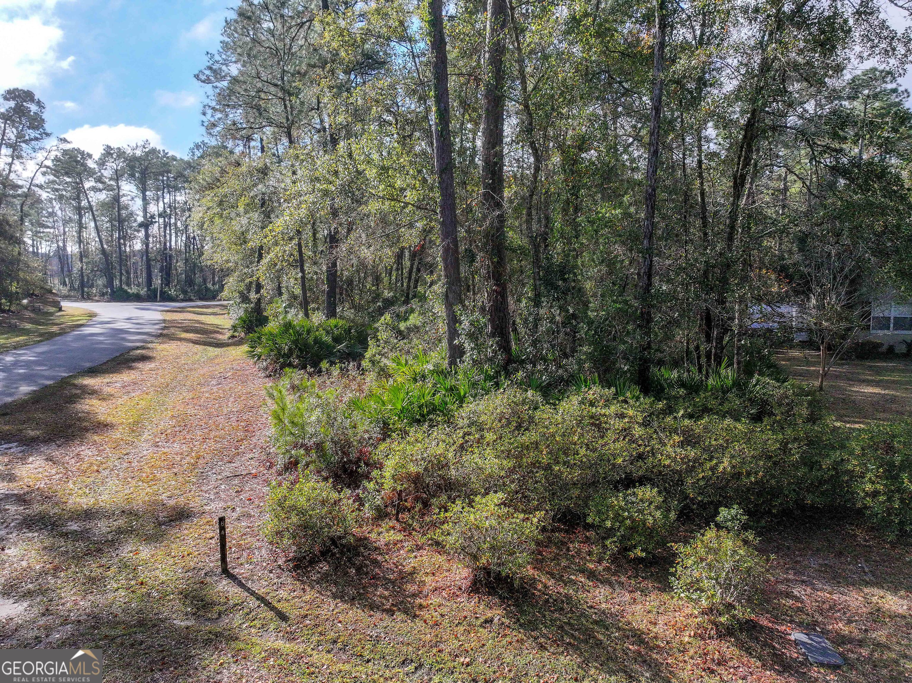 Lot 1 Turtle Dove Way Waverly GA 31565