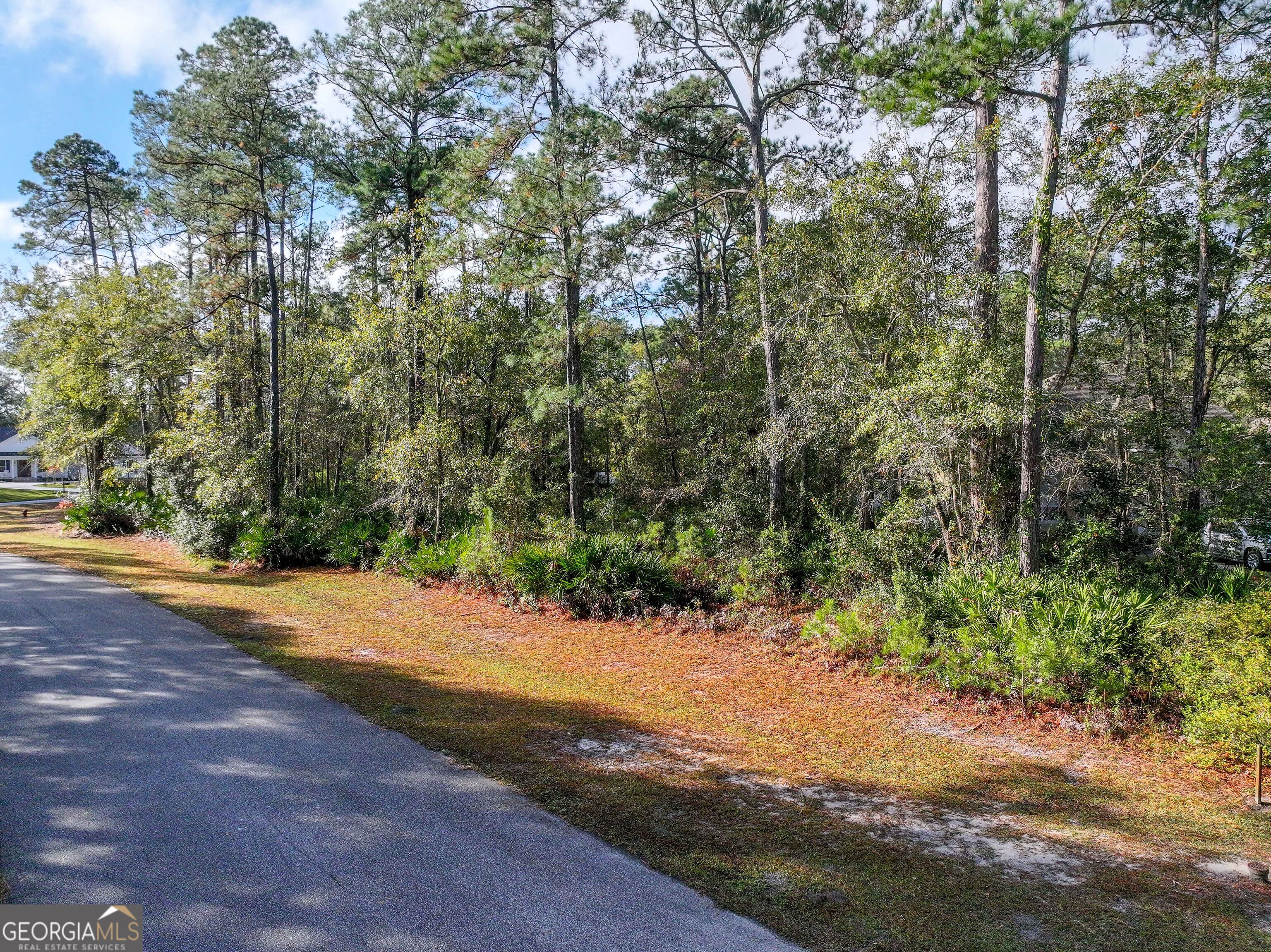 Lot 1 Turtle Dove Way Waverly GA 31565