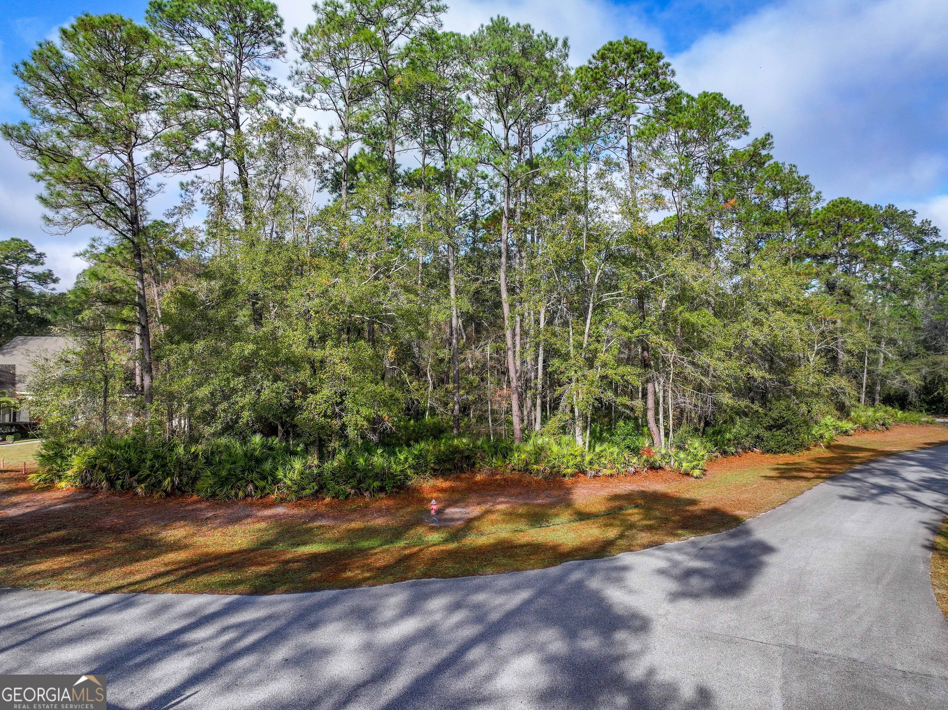 Lot 1 Turtle Dove Way Waverly GA 31565
