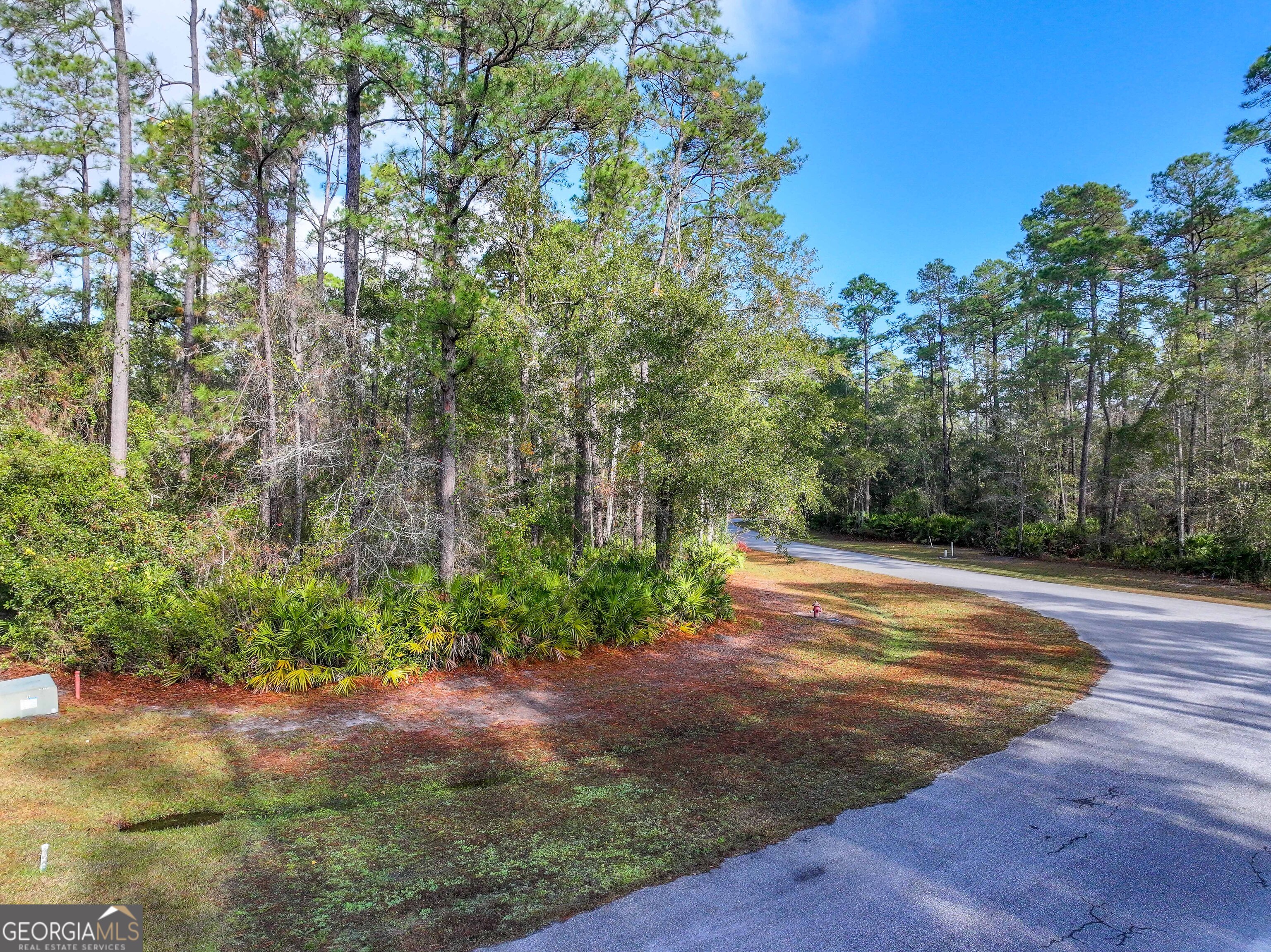 Lot 1 Turtle Dove Way Waverly GA 31565