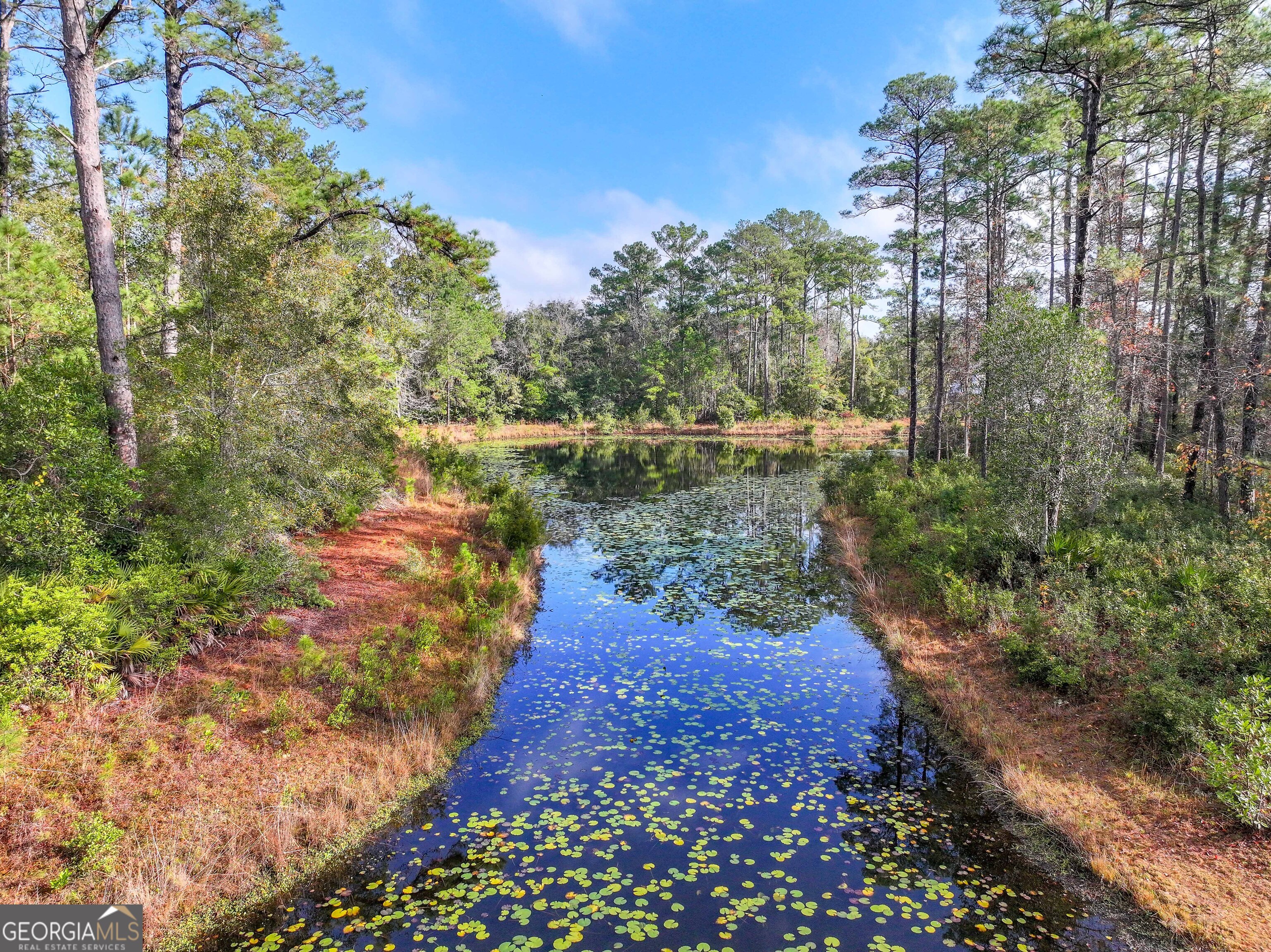 Lot 1 Turtle Dove Way Waverly GA 31565