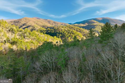 0 Hwy 17/75 Hiawassee GA 30546