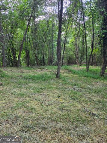 Lot 1 Thurman Street Mccaysville GA 30555