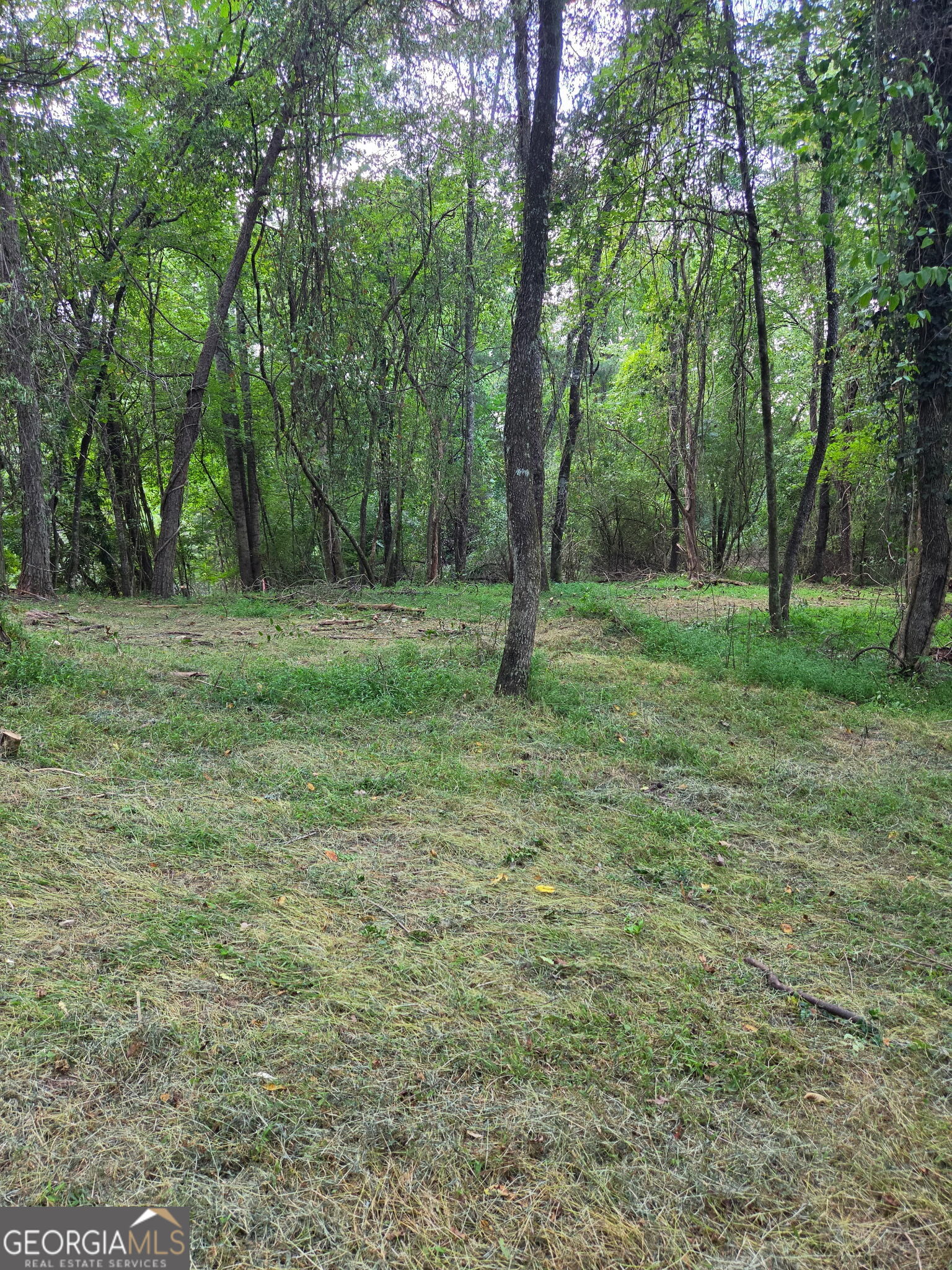 Lot 1 Thurman Street Mccaysville GA 30555