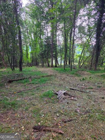 Lot 1 Thurman Street Mccaysville GA 30555