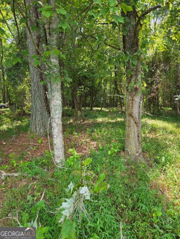 Lot 1 Thurman Street Mccaysville GA 30555