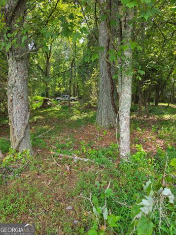 Lot 1 Thurman Street Mccaysville GA 30555