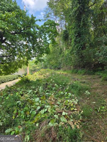 Lot 1 Thurman Street Mccaysville GA 30555