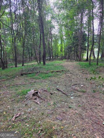 Lot 1 Thurman Street Mccaysville GA 30555