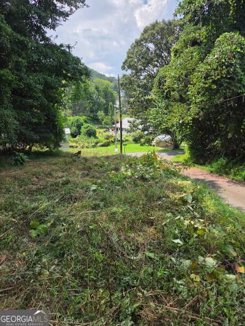 Lot 1 Thurman Street Mccaysville GA 30555