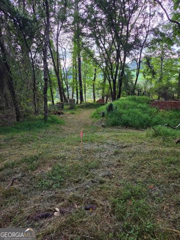 Lot 1 Thurman Street Mccaysville GA 30555