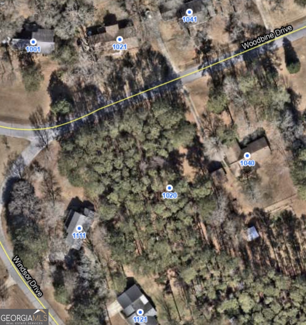 1020 Woodbine Drive Watkinsville GA 30677
