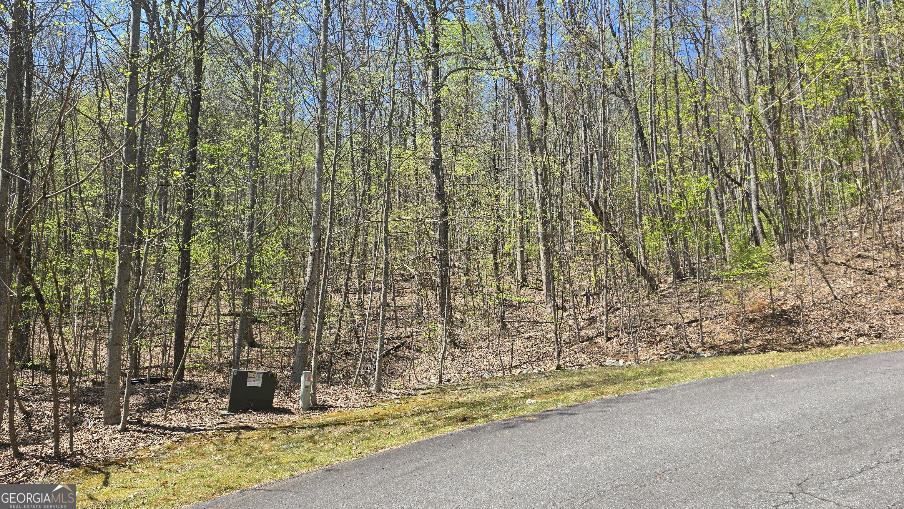 Lot 18 Overlook Loop Young Harris GA 30582
