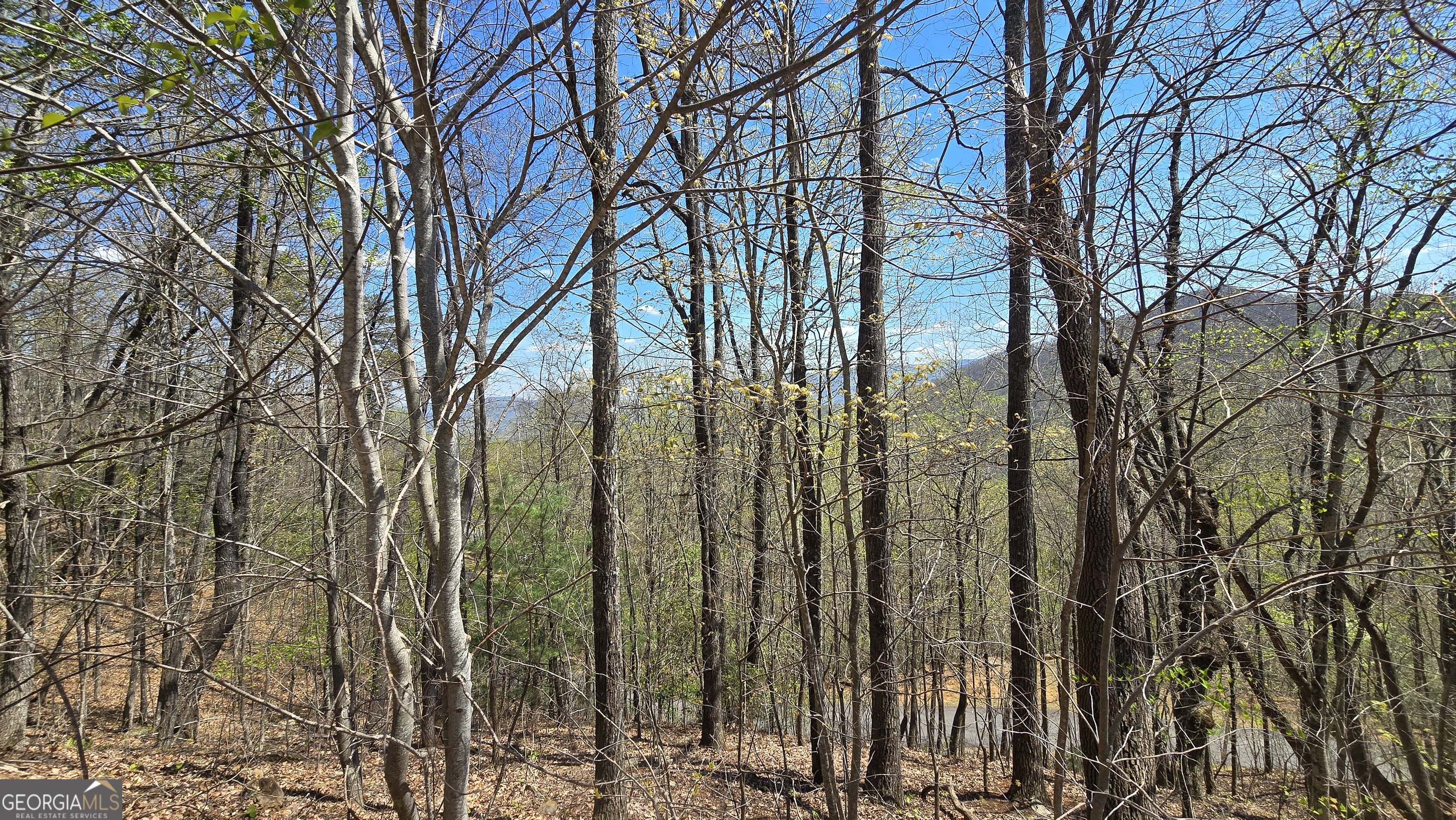 Lot 18 Overlook Loop Young Harris GA 30582