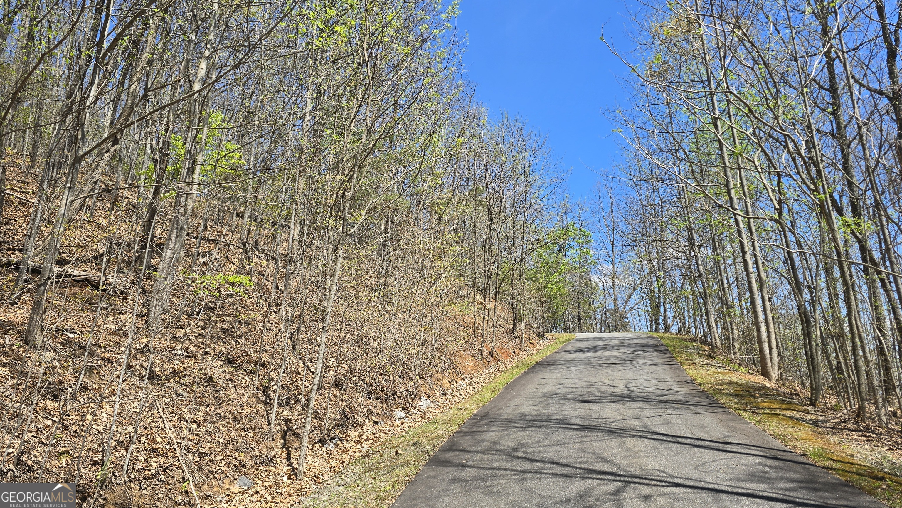 Lot 18 Overlook Loop Young Harris GA 30582