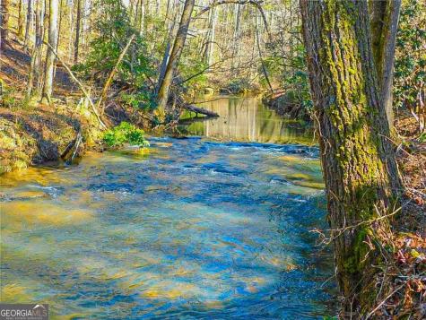 0 Woodland Lane Dahlonega GA 30533