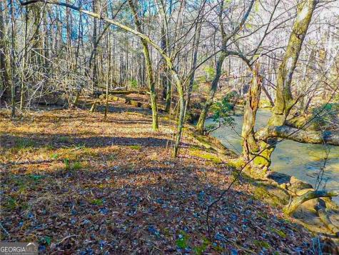 0 Woodland Lane Dahlonega GA 30533