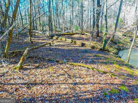 0 Woodland Lane Dahlonega GA 30533