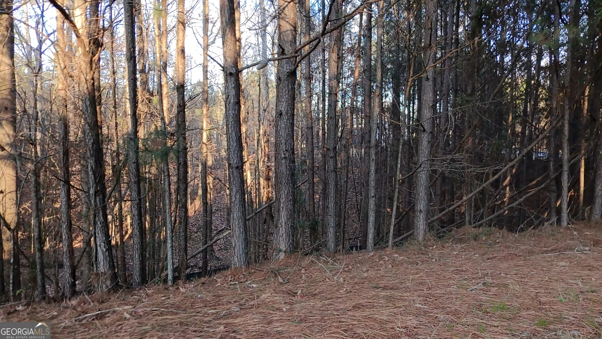 5185 Marie Trace Atlanta GA 30349