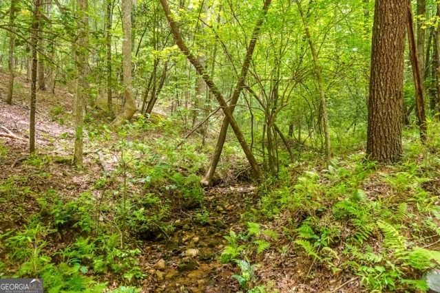 Lt 32 Oceola Drive Ellijay GA 30540